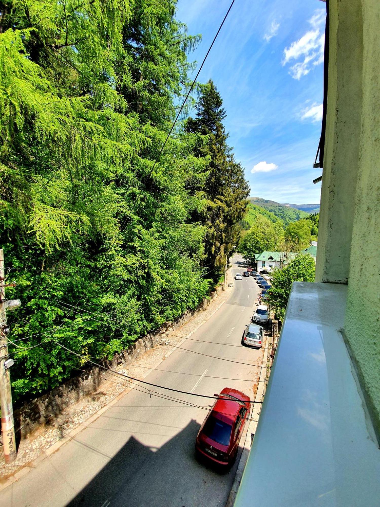 Laura Apartments Sinaia Room photo